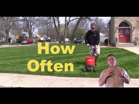 How Often Should I Fertilize The Lawn - Quick Tips