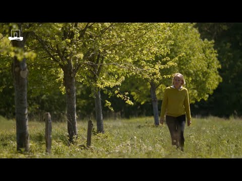 Een levende collectie zeldzame bomen (KennisOnline in beeld 2020) Een levende collectie zeldzame bomen (KennisOnline in beeld 2020)