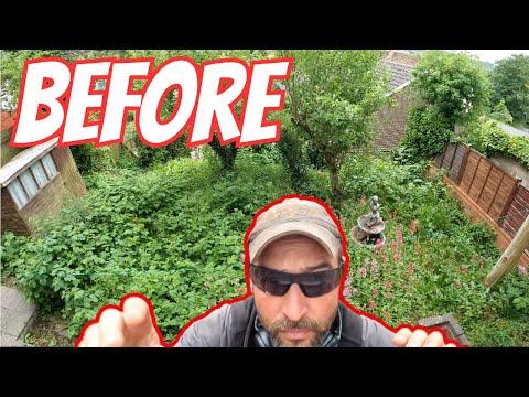 Timelapse Garden Tidy Up #gardening #lewisgardenservicesltd #gardenmakeover Timelapse Garden Tidy Up #gardening #lewisgardenservicesltd #gardenmakeover