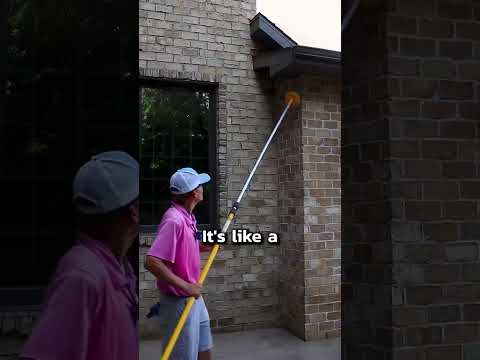 How to remove a wasp nest DIY How to remove a wasp nest DIY