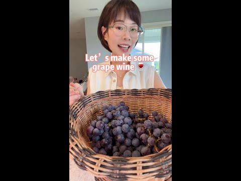 Homemade grape wine 🍷 Let’s make some 2 ingredients grape wine: 🍇 + sugar~