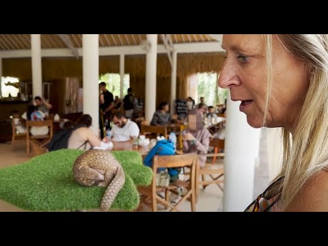 Floortje Dessing op Bali: 'Laat je niet misleiden bij dierenattracties'