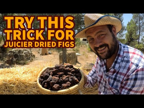 How to sun-dry figs with salt water