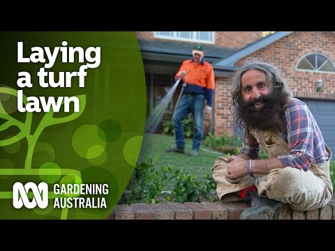 How to lay a new lawn from turf using these expert tips | DIY Garden Projects | Gardening Australia