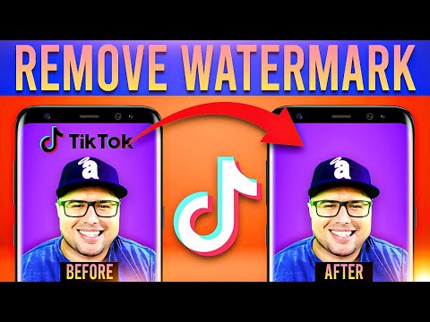 How To Download TikTok Video Without Watermark? TikTok Secrets You Must Know
