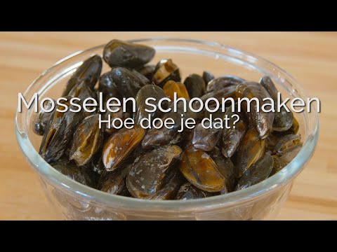 Hoe maak je mosselen schoon? PuurGezond