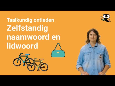 Wat is een zelfstandig naamwoord? (complete uitleg en voorbeelden)