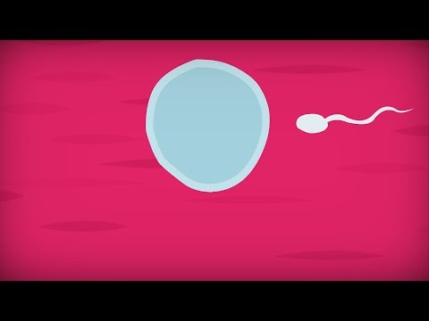 When to have sex to get pregnant