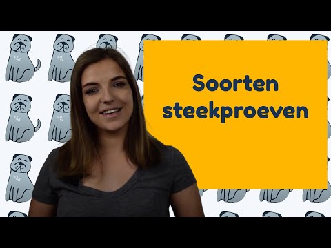 Soorten steekproeven - statistiek voor beginners│BijlesHuis