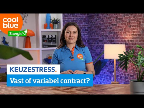 Wat is het verschil tussen een vast contract en een variabel contract?