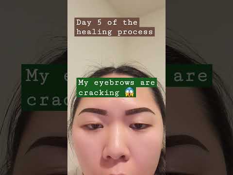 Ombre powder brows healing process day 5! #ombrepowderbrows #healingprocess