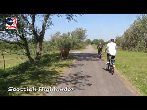 Cycling through the dunes to the beach (Netherlands) [278]