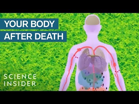 What Happens To Your Body After You Die